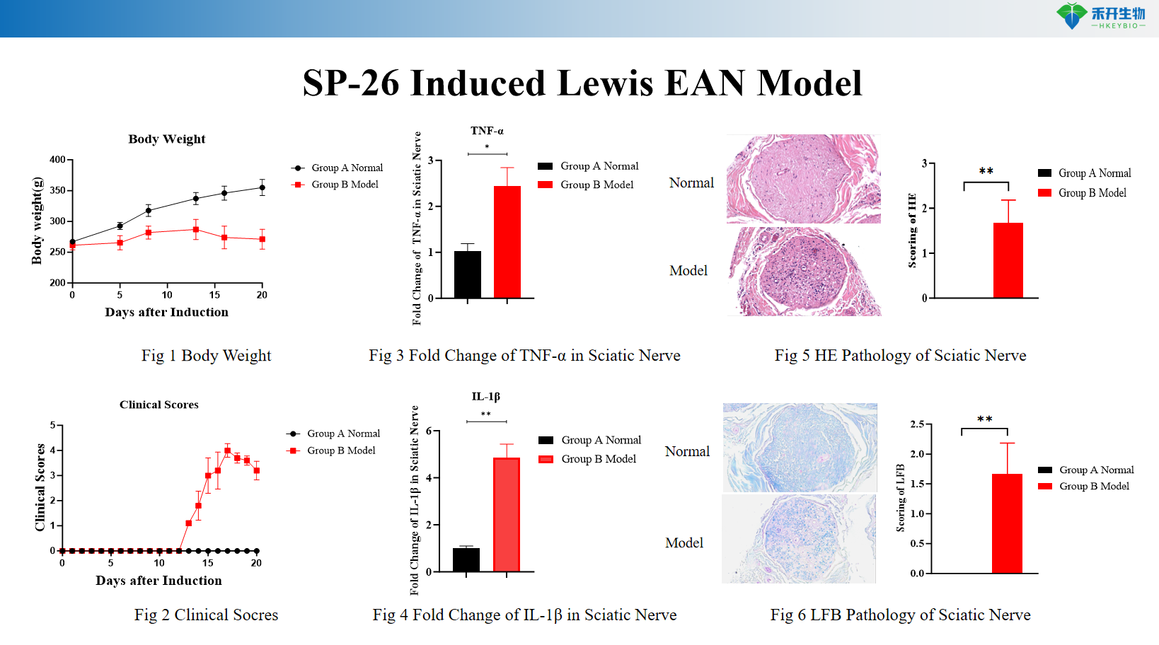 9384da8d5c2fb5831e212669501649a8