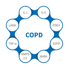 Chronic Obstructive Pulmonary Disease