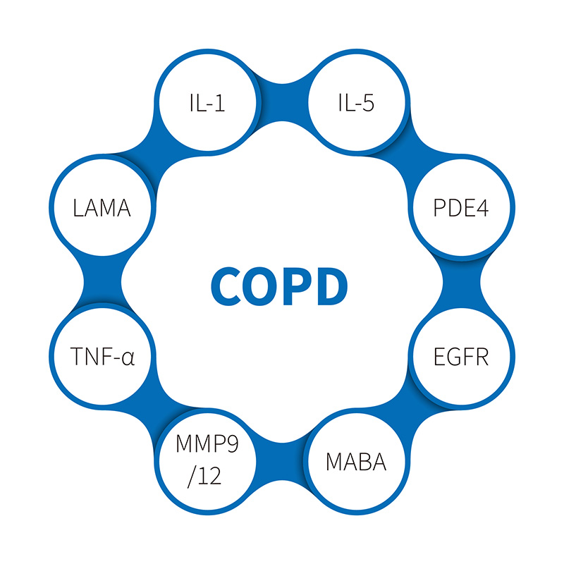 Chronic Obstructive Pulmonary Disease - HkeyBio