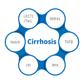 Cirrhosis-NHP