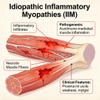 Mouse Idiopathic Inflammatory Myopathy (IIM) မော်ဒယ်များ