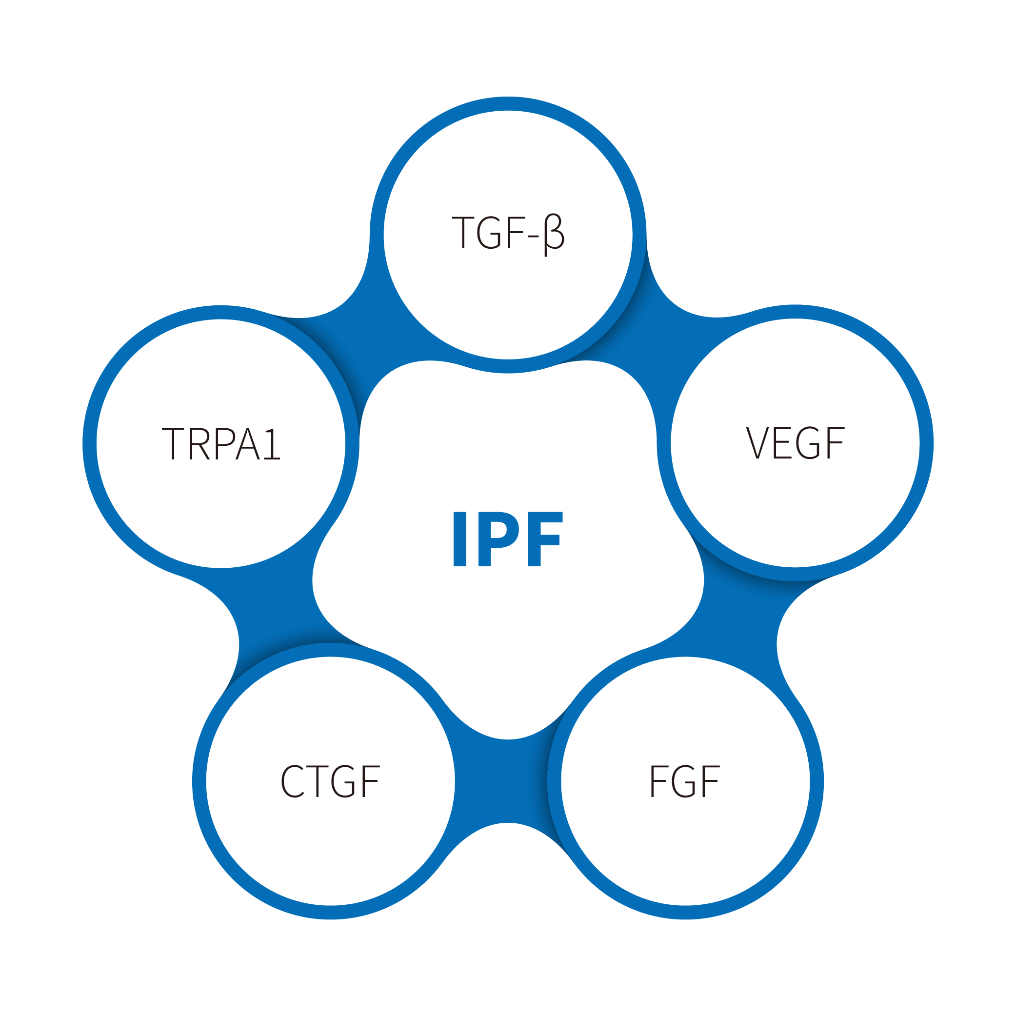 Idiopathic pulmonary fibrosis from China manufacturer - HkeyBio