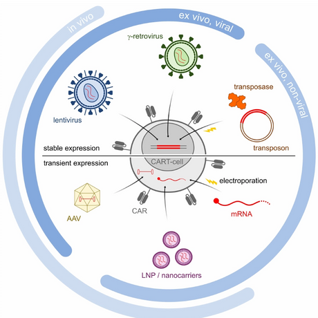 8fba2f695cc0da164dd44af3e626f5a7_888_888.png